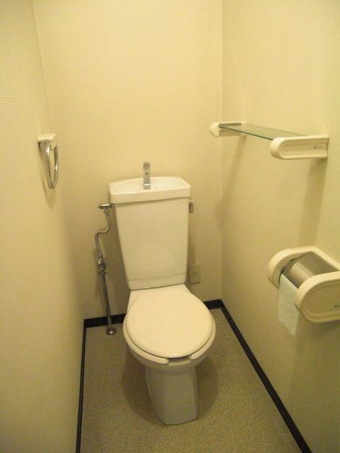 Toilet. Beautiful Western-style toilet.