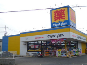 Other. 340m to the drugstore (Other)