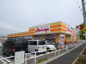 Supermarket. Mallya to (super) 270m