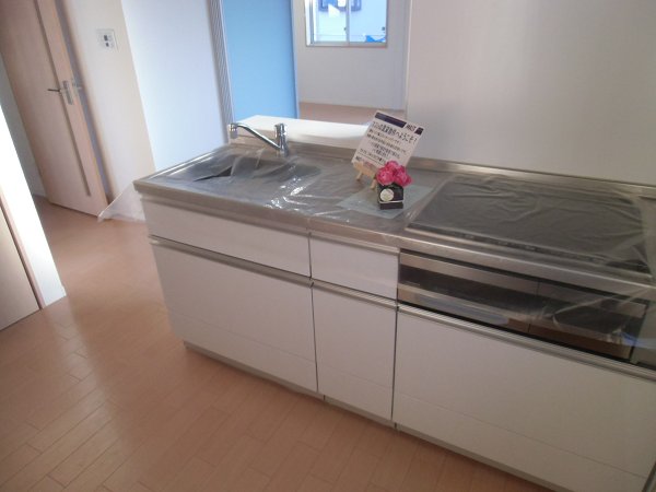 Kitchen. Care of Ease IH stove