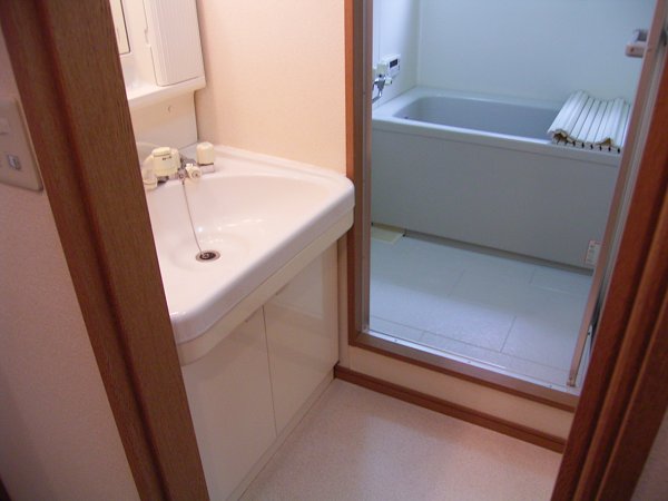 Washroom. Shampoo dresser