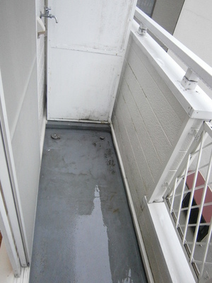 View. Balcony facing south