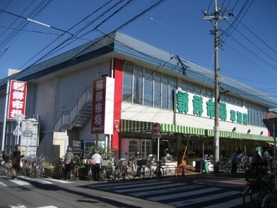 Supermarket. 160m to the fresh market (super)