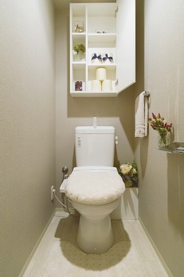  [Eco-toilet] Only normally residing in, Properly become eco. The property has adopted a "water-saving toilets," which aims to such dwelling