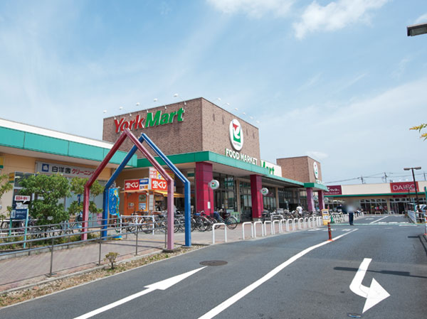 Surrounding environment. Mall Plaza (about 1340m, 17 minutes walk)