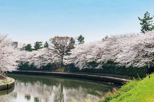 Soka Fudaba riverside park (about 130m, A 2-minute walk)