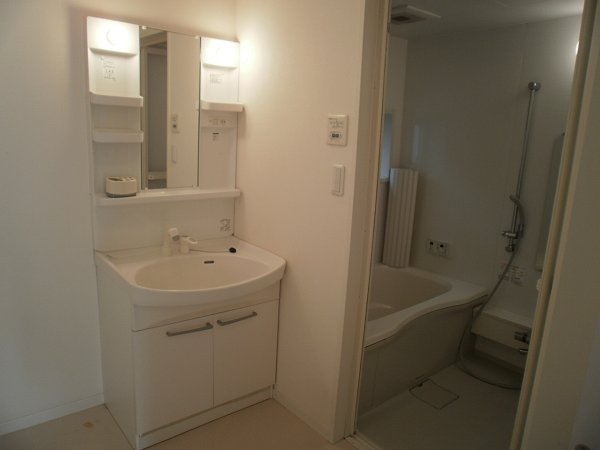 Washroom. Shampoo dresser