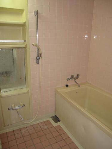 Bath. Bathroom (interior ago)