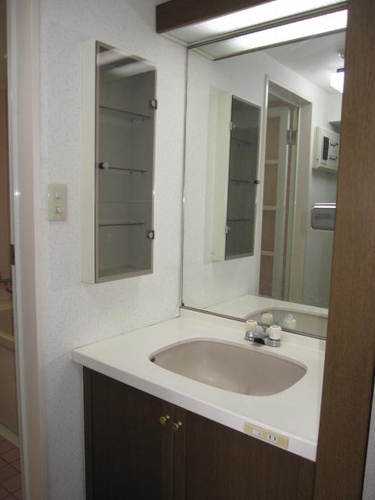 Washroom. Vanity (interior ago)