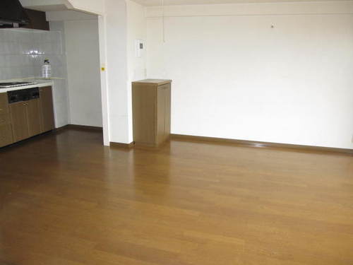 Living and room. Living-dining kitchen (interior ago) taken from a different angle