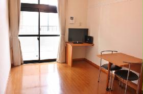 Living and room. Lofted room