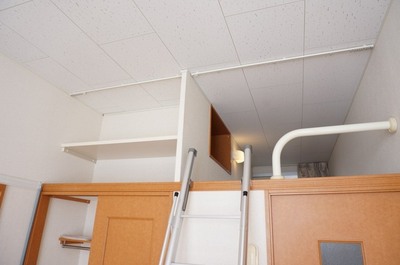 Living and room. High ceilings open feeling you up with a loft