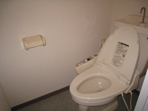 Toilet. Happy warm water washing toilet seat