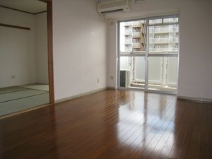 Living and room. Bright south-facing