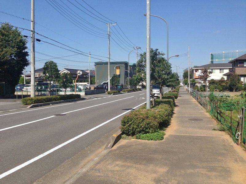 Local photos, including front road