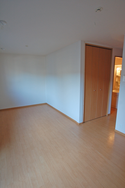 Living and room. Luxurious space to live alone in a large Western-style