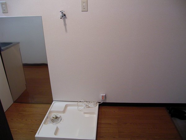 Other room space. Washing machine in the room