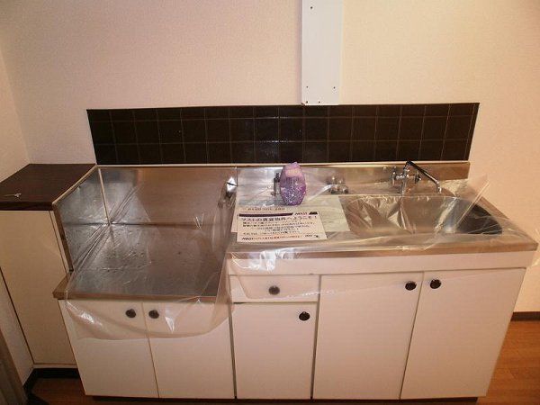 Kitchen. Kitchen with two-necked gas stove is put