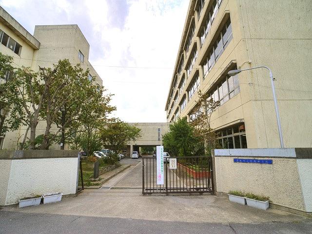 Junior high school. Soka Tachibana chestnut junior high school