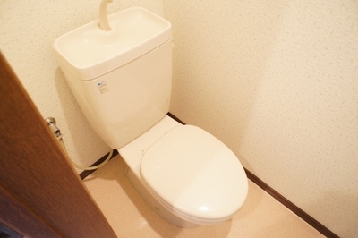 Toilet. It is housed glad toilet