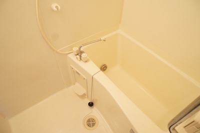 Bath. It looks happy economic Reheating function with bus