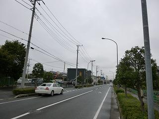 Local photos, including front road. Local (10 May 2013) Shooting