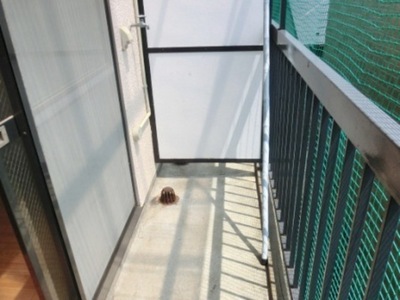 View. There are washing machine Storage