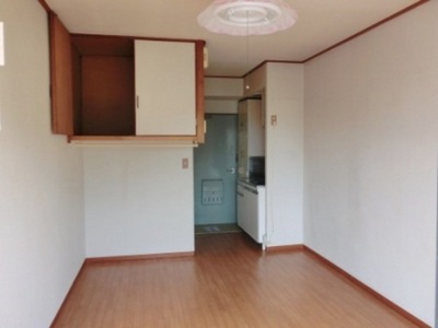 Living and room. Some of the upper closet storage is 5.5 quires of Western-style