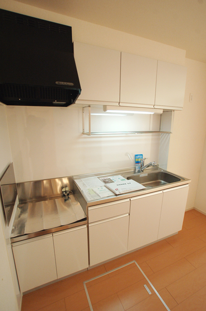 Kitchen. Storage rich stylish kitchen You Hakadori also dishes