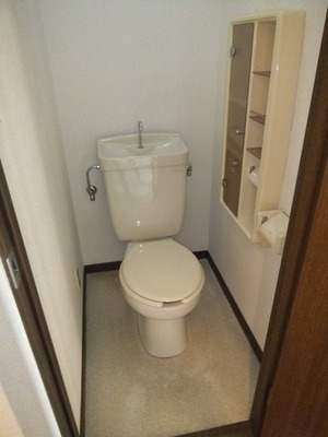 Toilet. Shelf with small fry is put