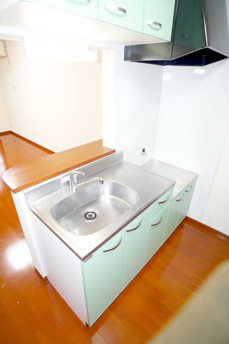 Kitchen. Easy-to-use single lever type