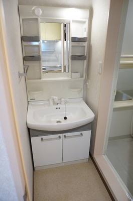 Washroom. There washbasin independent