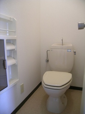 Toilet. It comes with a storage shelf in toilet. 