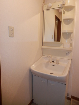 Washroom. Independent wash basin