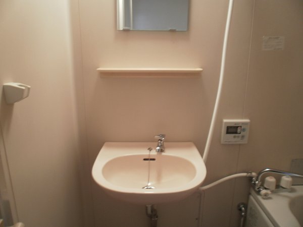 Washroom. Bathroom vanity