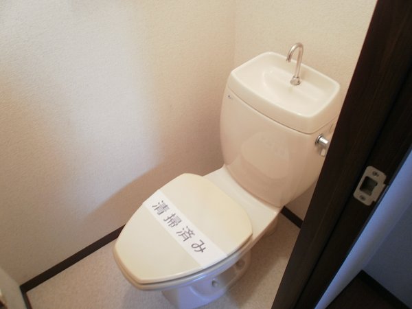 Toilet. Western style