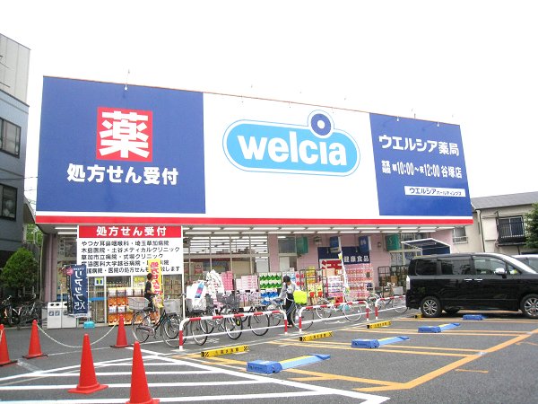 Dorakkusutoa. Uerushia Yatsuka shop 447m until (drugstore)