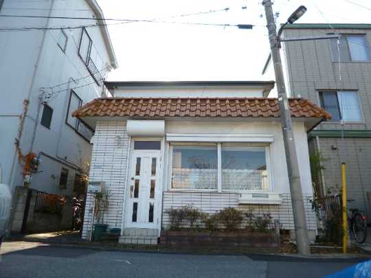 Local land photo. Appearance 1