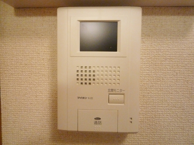 Security. TV monitor with intercom