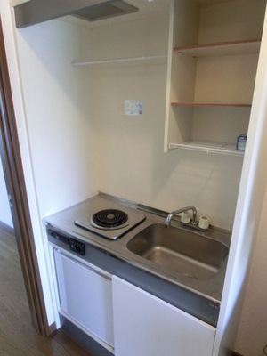 Kitchen. Although it is small, This is useful with storage
