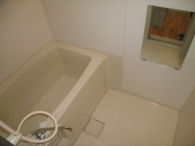 Bath. It looks happy economic Reheating function with bus