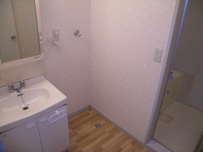 Washroom. There washbasin independent