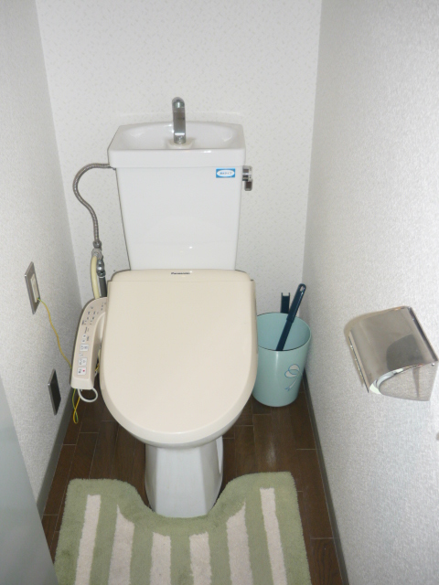 Toilet. Hot water cleaning function toilet