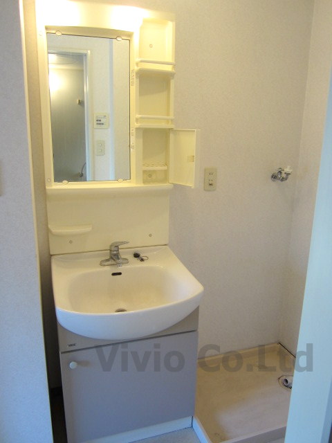 Other. happy, With separate wash basin