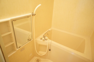 Bath. There is a mirror in the bath