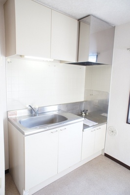 Kitchen. Gas stove installation Allowed