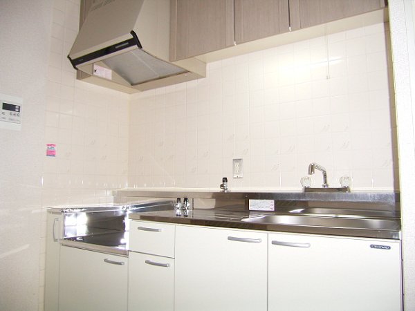 Kitchen. 2 lot gas stoves installed