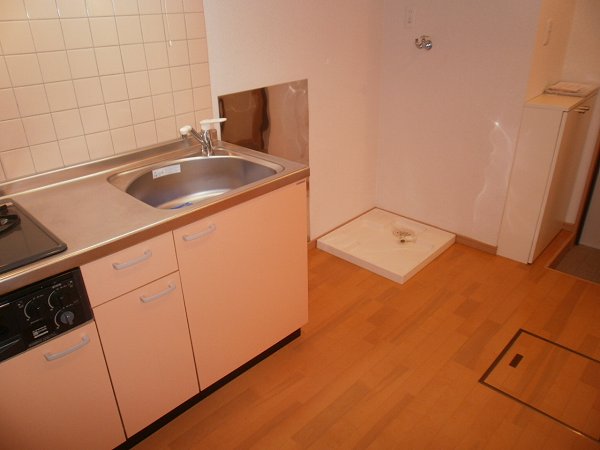 Other room space. Washing machine in the room