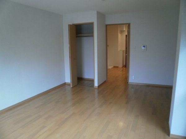 Other room space. Western style room