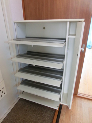 Entrance. With high storage capacity shoe box